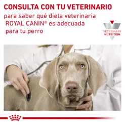 ROYAL CANIN VD Canine Hypoallergenic -Suministros Para Perros RC VET DRY DogHypo CV Eretailkit 7 es ES 62fcbf198e7f4