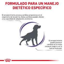 ROYAL CANIN Mature Senior Consult -Suministros Para Perros RC VET DRY DogMatCons CV 2 es ES 62fcc466a7231