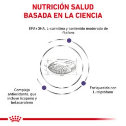 ROYAL CANIN Mature Senior Consult -Suministros Para Perros RC VET DRY DogMatCons CV 3 es ES 62fcc467dc81a