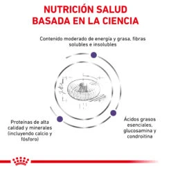 ROYAL CANIN VD Canine Neutered Junior Large Dog -Suministros Para Perros RC VET DRY DogNeutJULD CV 3 es ES 62fcc573b6332