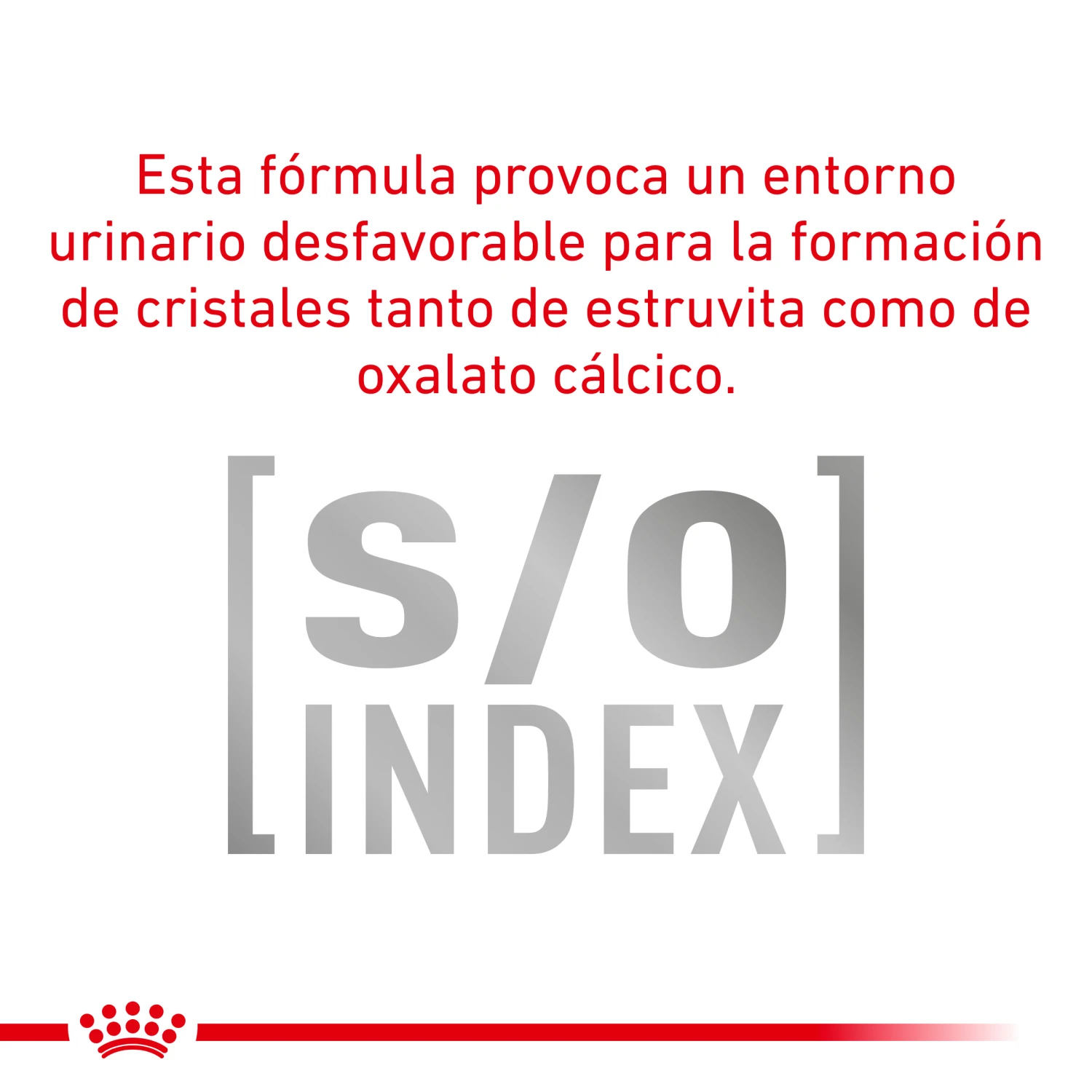 ROYAL CANIN Pienso Urinary S/O Canine 12 ROYAL CANIN Pienso Urinary S/O Canine - Imagen 12