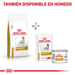ROYAL CANIN Pienso Urinary S/O Canine 20 ROYAL CANIN Pienso Urinary S/O Canine -Suministros Para Perros RC VET DRY DogUrinarySO CV Eretailkit 6 es ES 62fcc6b2deee5