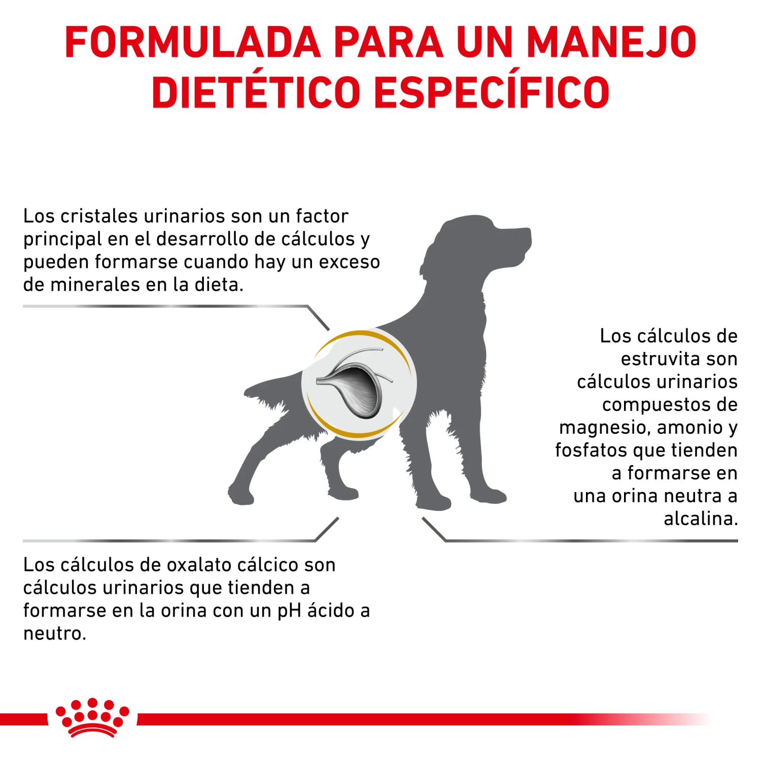 ROYAL CANIN Pienso Urinary S/O Canine 11 ROYAL CANIN Pienso Urinary S/O Canine - Imagen 11
