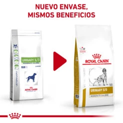 ROYAL CANIN Urinary S/O Moderate Calorie 13 ROYAL CANIN Urinary S/O Moderate Calorie -Suministros Para Perros RC VET DRY DogUrinarySOMC CV Eretailkit 1 es ES 62fcc6fb5c7e0