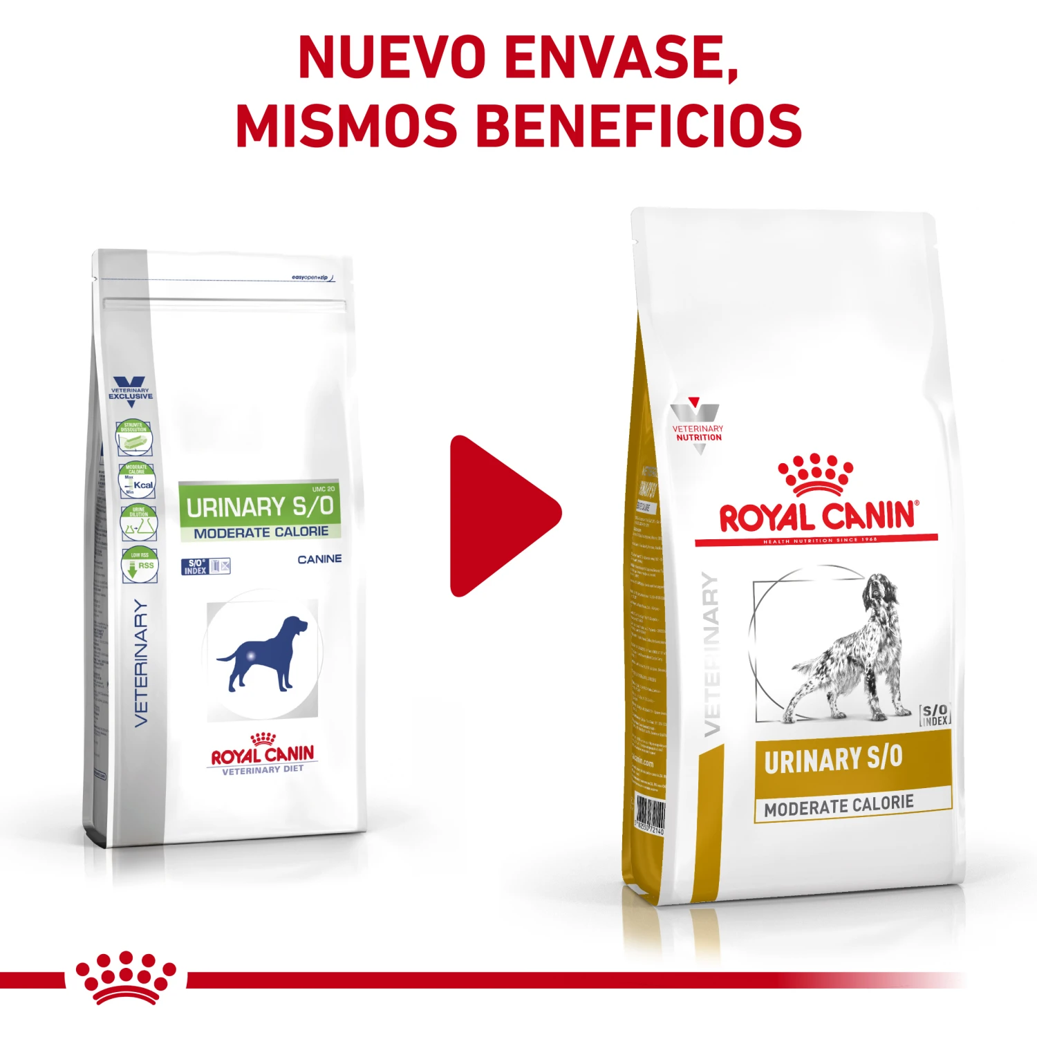 ROYAL CANIN Urinary S/O Moderate Calorie 3 ROYAL CANIN Urinary S/O Moderate Calorie - Imagen 3