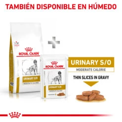 ROYAL CANIN Urinary S/O Moderate Calorie 18 ROYAL CANIN Urinary S/O Moderate Calorie -Suministros Para Perros RC VET DRY DogUrinarySOMC CV Eretailkit 6 es ES 62fcc701b13a9