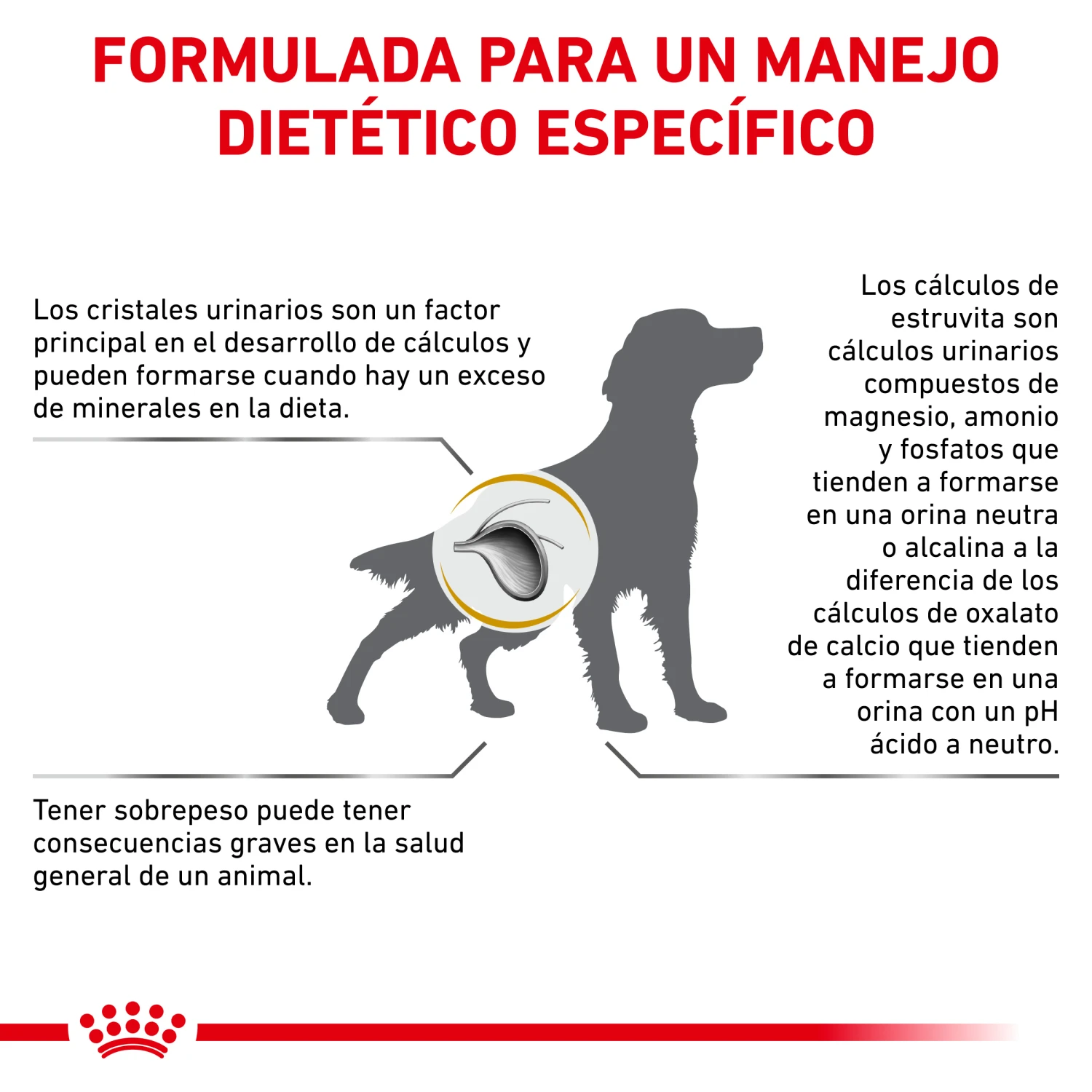 ROYAL CANIN Urinary S/O Moderate Calorie 10 ROYAL CANIN Urinary S/O Moderate Calorie - Imagen 10