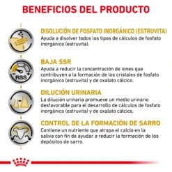 ROYAL CANIN VD Canine Urinary (Small Dog) -Suministros Para Perros RC VET DRY DogUrinarySOSD CV Eretailkit 3 es ES 62fcc7280cd7f