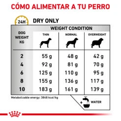 ROYAL CANIN VD Canine Urinary (Small Dog) -Suministros Para Perros RC VET DRY DogUrinarySOSD CV Eretailkit 4 es ES 62fcc72921a68