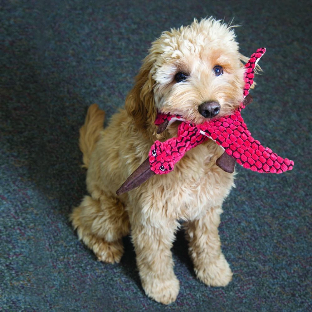 KONG Peluche Triceratops Rosa 3 KONG Peluche Triceratops Rosa - Imagen 3