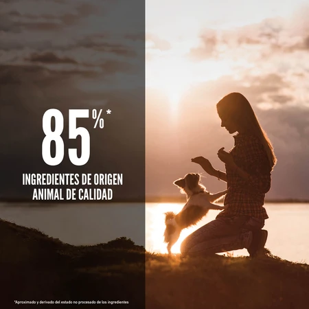 Orijen Small Breed Sin Cereales 3 Orijen Small Breed Sin Cereales - Imagen 3