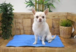 Manta Refrescante Cool Mat Azul Light Para Perros Y Gatos -Suministros Para Perros Sofi Talla S 9 6481909e705ce