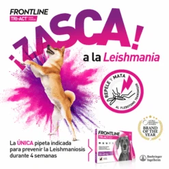 Frontline Pipetas Tri-Act Solucion Spot-On Para Perros 10-20 Kg -Suministros Para Perros VisualTRI 6267f6314c4fb