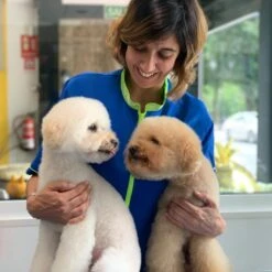 ARTERO Acondicionador Flash -Suministros Para Perros WhatsApp Image 2020 07 10 at 20 04 05 2 64ec84fc928b1