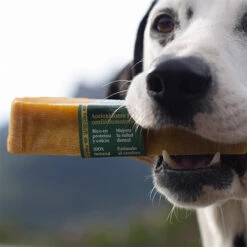 Mordedor Natural Leche De Yak Del Himalaya Con Cúrcuma Para Perros 16 Mordedor Natural Leche De Yak Del Himalaya Con Cúrcuma Para Perros -Suministros Para Perros Wild Yaky Golden Curcuma barrita leche yak himalaya curcuma 3 620cf10a28393