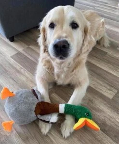 KONG Peluche Shakers Con Sonido Pato 11 KONG Peluche Shakers Con Sonido Pato -Suministros Para Perros ZABAWKA duzego psa SZARPAK kaczka KONG pluszak L Kod producenta 035585360737 64f2439c0fafe