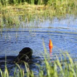 Chuckit! Aleta De Tiburón Flotante Para Perros -Suministros Para Perros aleta naranja juguete perro 63e3662a0d17d