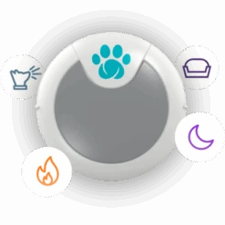 Animo Monitor De Comportamiento Y Actividad -Suministros Para Perros animo monitor de comportamiento actividad 1