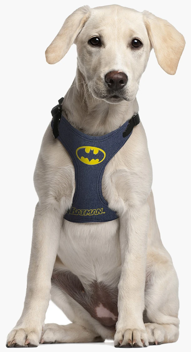 Arnés Batman Para Perros 10 Arnés Batman Para Perros - Imagen 10