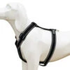 Arnés Comfort Reflectante Negro Para Perros