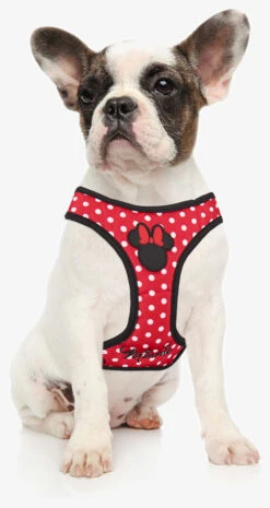 Arnés Minnie Para Perros -Suministros Para Perros arnes minnie 12 9