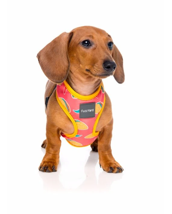 Fuzzyard Arnés Para Perro Hey Esse 2 Fuzzyard Arnés Para Perro Hey Esse - Imagen 2