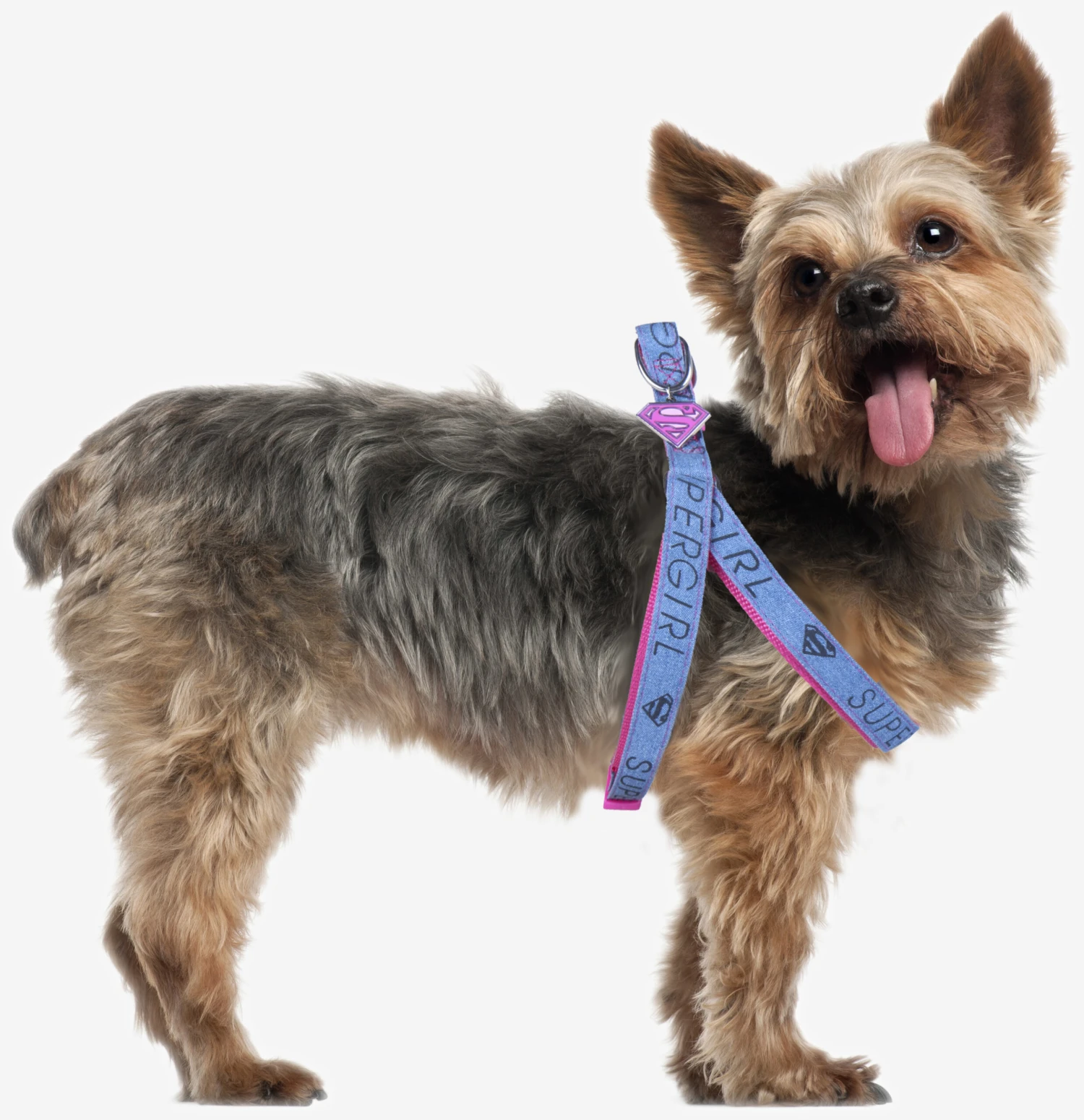 Petral Supergirl Para Perros 6 Petral Supergirl Para Perros - Imagen 6