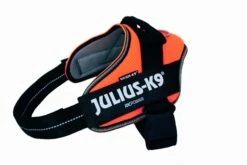 Julius K9 Arnés Powair Verano Naranja