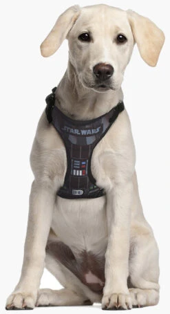 Arnés Star Wars Darth Vader Para Perros -Suministros Para Perros arnes star wars darth vader 11 6