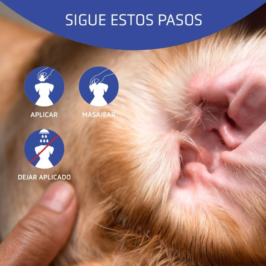 ARTERO Aurigel, Limpiador De Oidos 2 ARTERO Aurigel, Limpiador De Oidos - Imagen 2