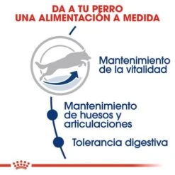 ROYAL CANIN Maxi Adult 5+ Pienso Para Perro Sénior De Razas Tamaño Grande 15 ROYAL CANIN Maxi Adult 5+ Pienso Para Perro Sénior De Razas Tamaño Grande -Suministros Para Perros beneficios 1 6246c4dbd25f8