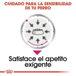 ROYAL CANIN Pack 12 Exigent -Suministros Para Perros beneficios 4 624c27b7610ca