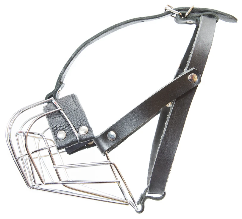 Julius K9 Bozal Para Perros Pequeños 1 Julius K9 Bozal Para Perros Pequeños