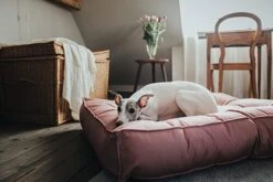 Hunter Cama Acolchada Lancater 5 Hunter Cama Acolchada Lancater -Suministros Para Perros cama para perros roja 63693d5850280