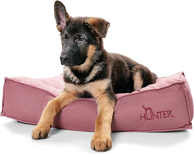 Hunter Cama Acolchada Lancater 1 Hunter Cama Acolchada Lancater