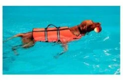 Nayeco Chaleco Salvavidas Para Perros