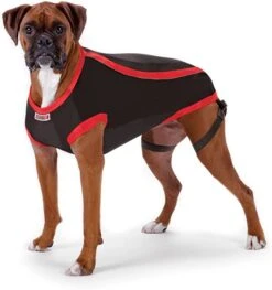 KONG Chaqueta Reductora De Ansiedad 5 KONG Chaqueta Reductora De Ansiedad -Suministros Para Perros chaqueta kong ansiedad 624afb81af8b2