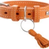 Hunter Collar Cannes Para Perros Color Naranja