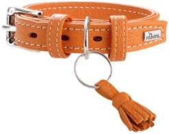 Hunter Collar Cannes Para Perros Color Naranja