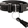 Hunter Collar Cannes Para Perros