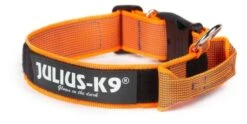 Julius K9 Collar Con Asa