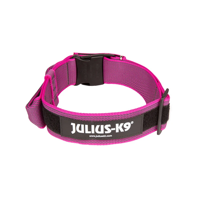 Julius K9 Collar Color & Gray IDC Con Asa Rosa 3 Julius K9 Collar Color & Gray IDC Con Asa Rosa - Imagen 3