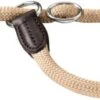 Hunter Collar De Adiestramiento Freestyle