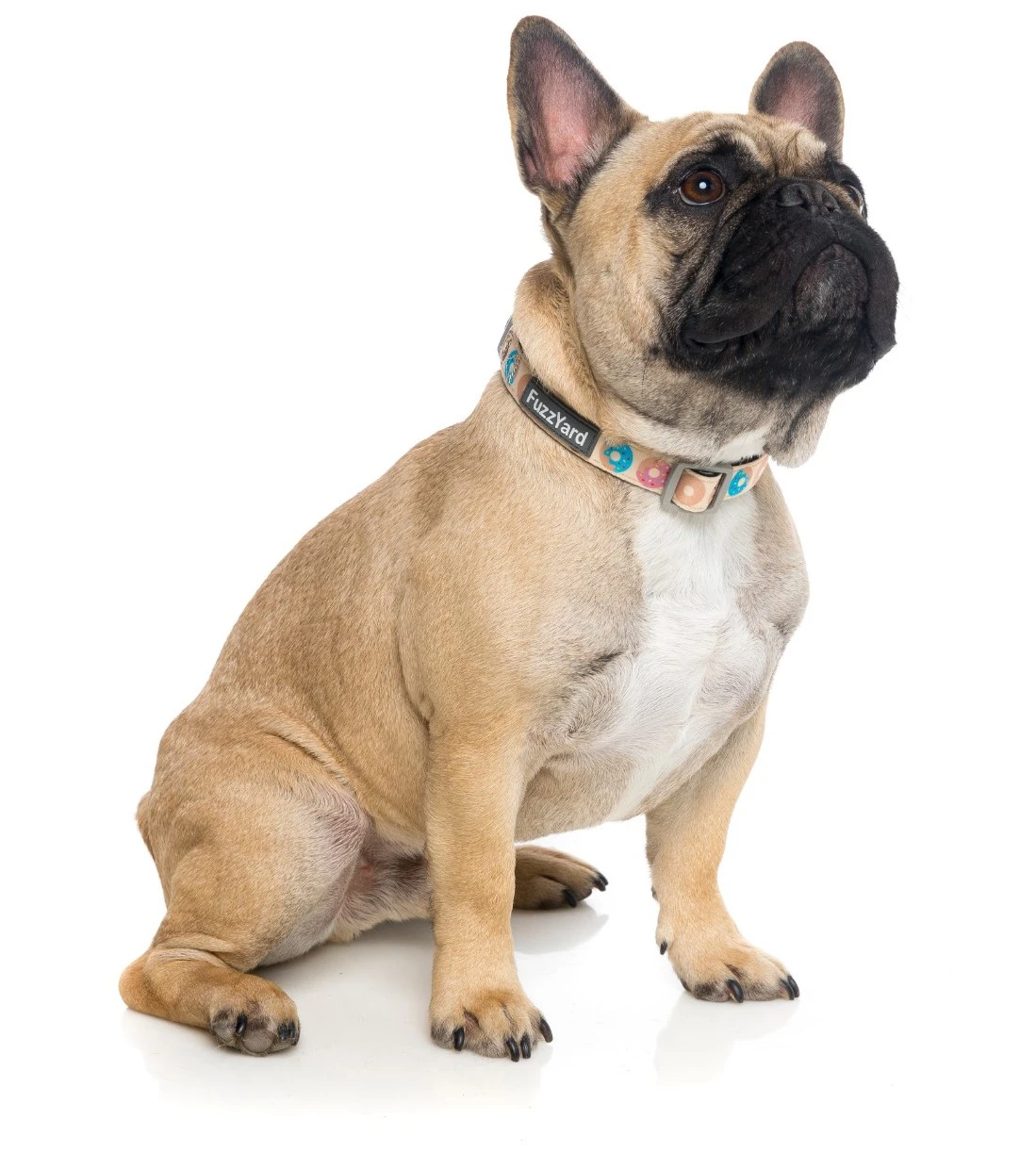 Fuzzyard Collar De Neopreno Go Nuts 2 Fuzzyard Collar De Neopreno Go Nuts - Imagen 2