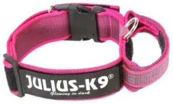 Julius K9 Collar Color & Gray IDC Con Asa Rosa