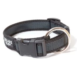 ROYAL CANIN Collar Color & Gray IDC Negro