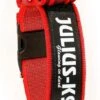Julius K9 Collar Color & Gray IDC Con Asa Rojo
