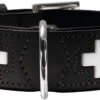 Hunter Collar Swiss Para Perros