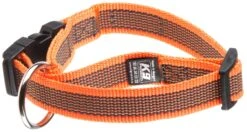 Julius K9 Collar -Suministros Para Perros collar 3