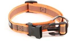 Julius K9 Collar -Suministros Para Perros collar 5